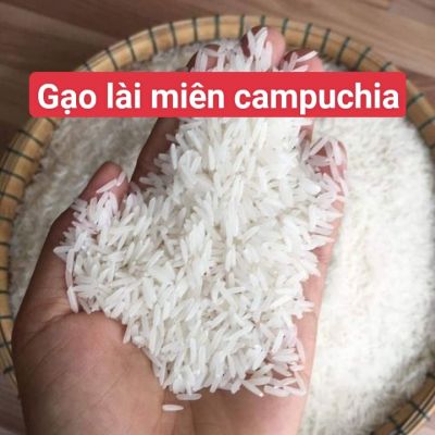 Gạo lài miên Campuchia